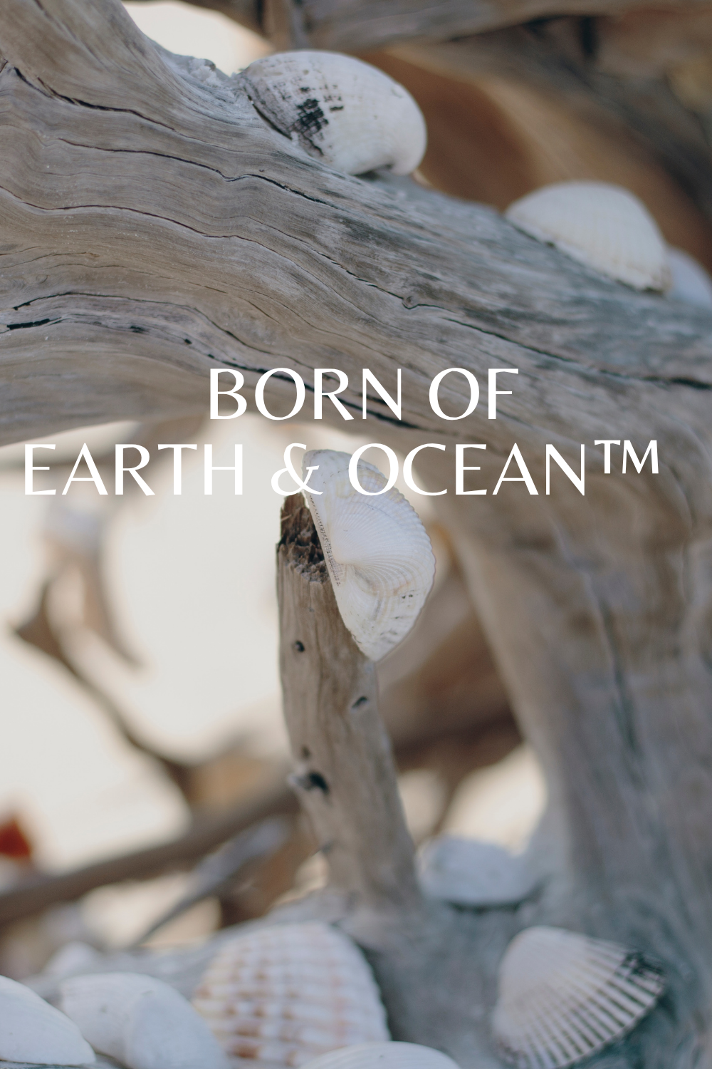 Born of Earth & Ocean With Love Collection ™ - Creating Moments & Time to Feel Loved, Cherished & Connected