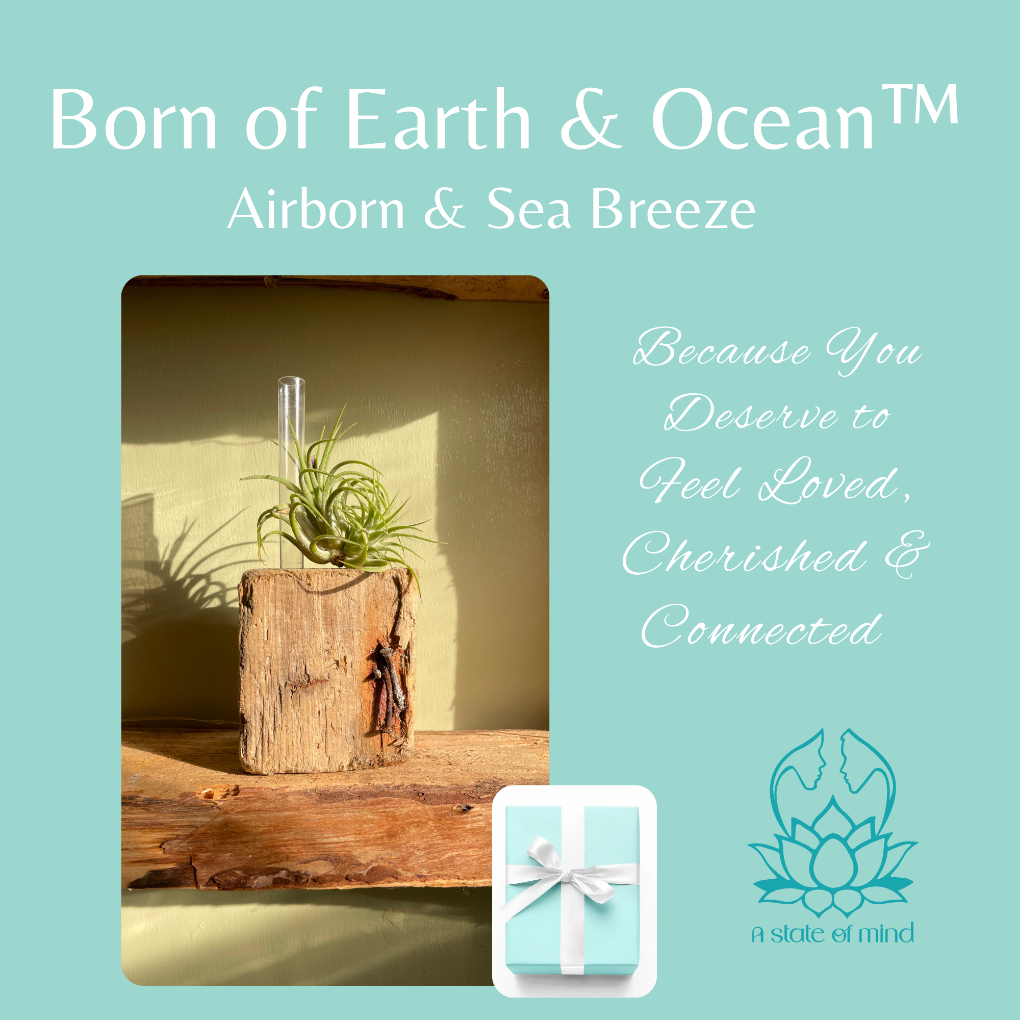 Born of Earth & Ocean™ - Airborn & Sea Breeze